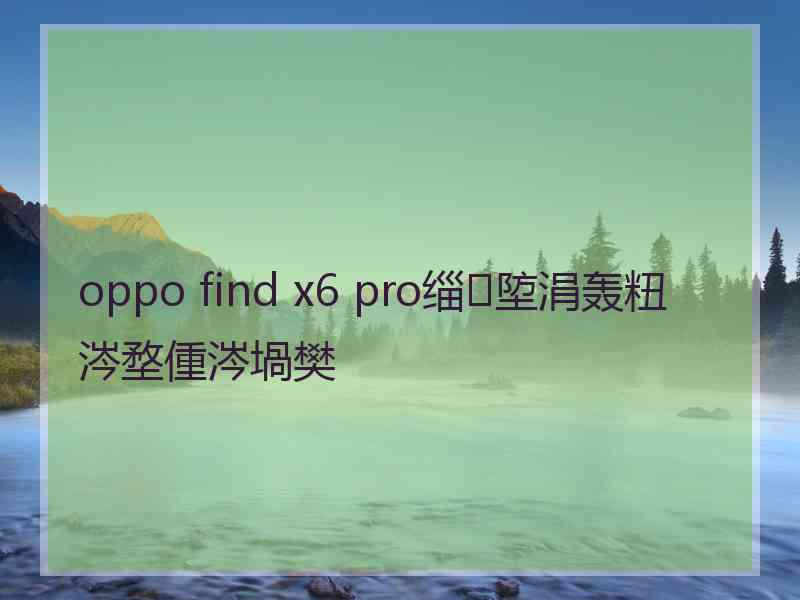 oppo find x6 pro缁埅涓轰粈涔堥偅涔堝樊