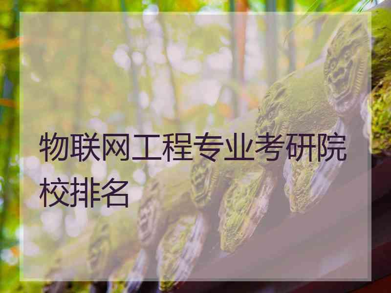 物联网工程专业考研院校排名