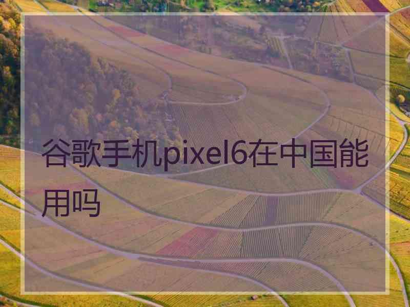 谷歌手机pixel6在中国能用吗