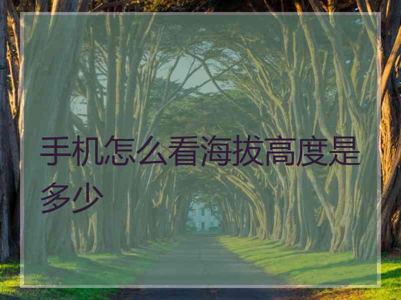 手机怎么看海拔高度是多少