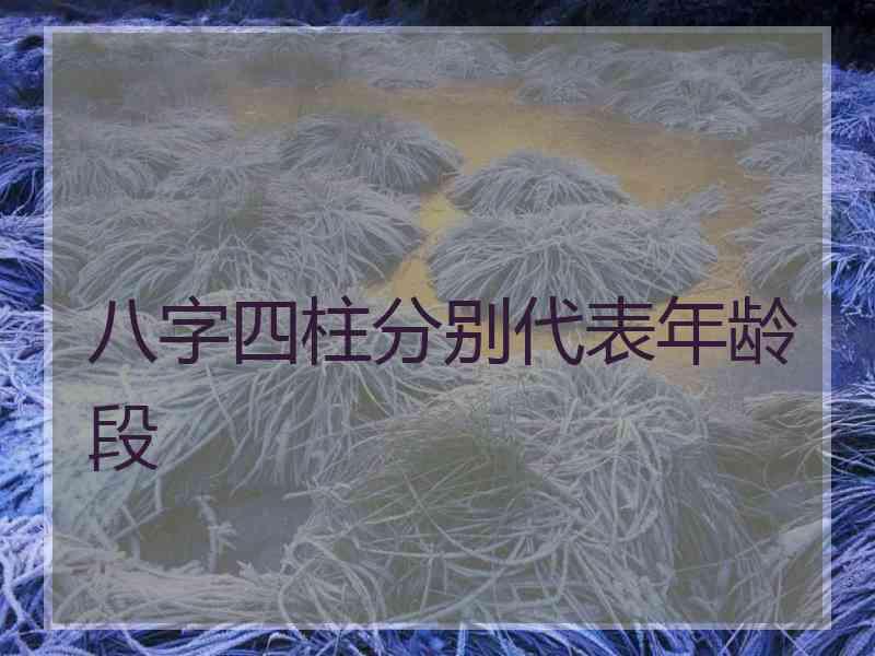 八字四柱分别代表年龄段