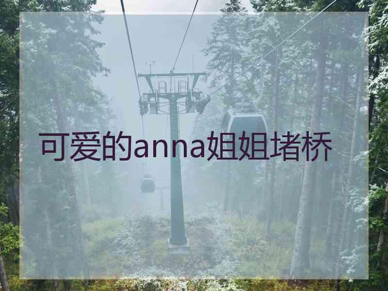 可爱的anna姐姐堵桥