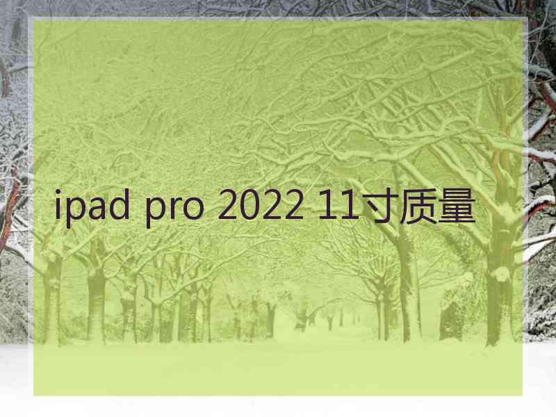 ipad pro 2022 11寸质量