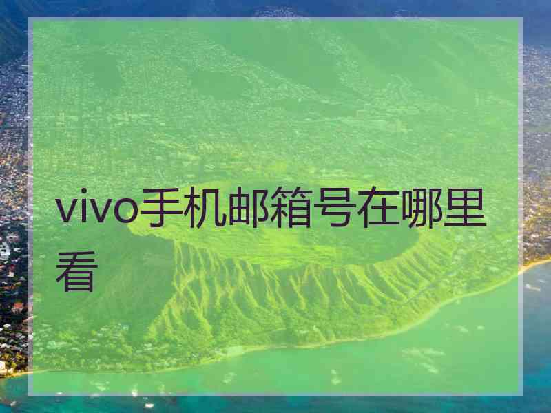 vivo手机邮箱号在哪里看