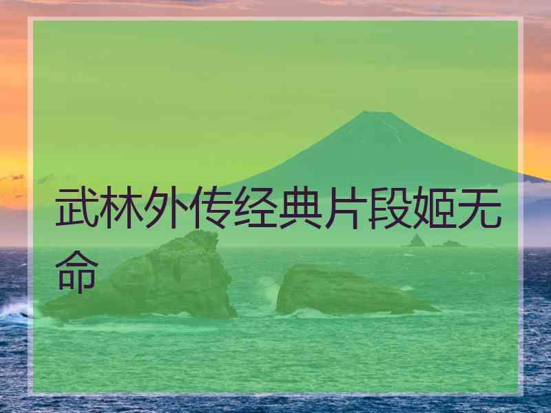 武林外传经典片段姬无命