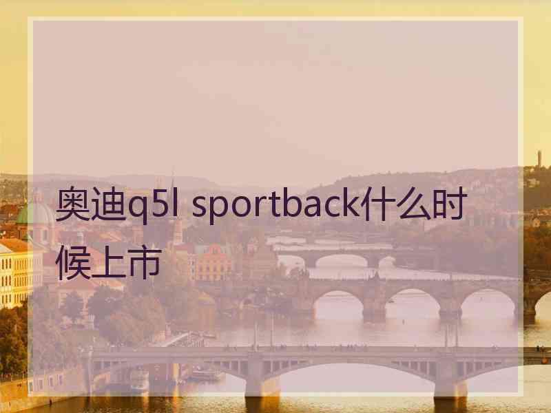 奥迪q5l sportback什么时候上市