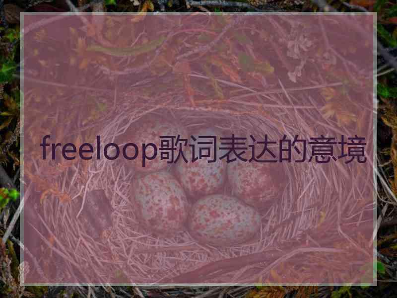 freeloop歌词表达的意境