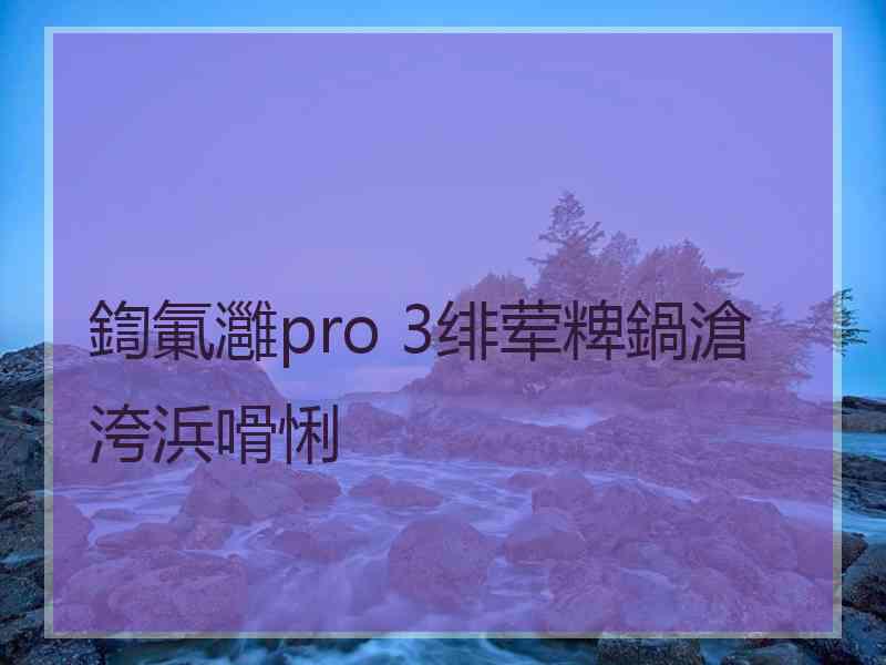 鍧氭灉pro 3绯荤粺鍋滄洿浜嗗悧