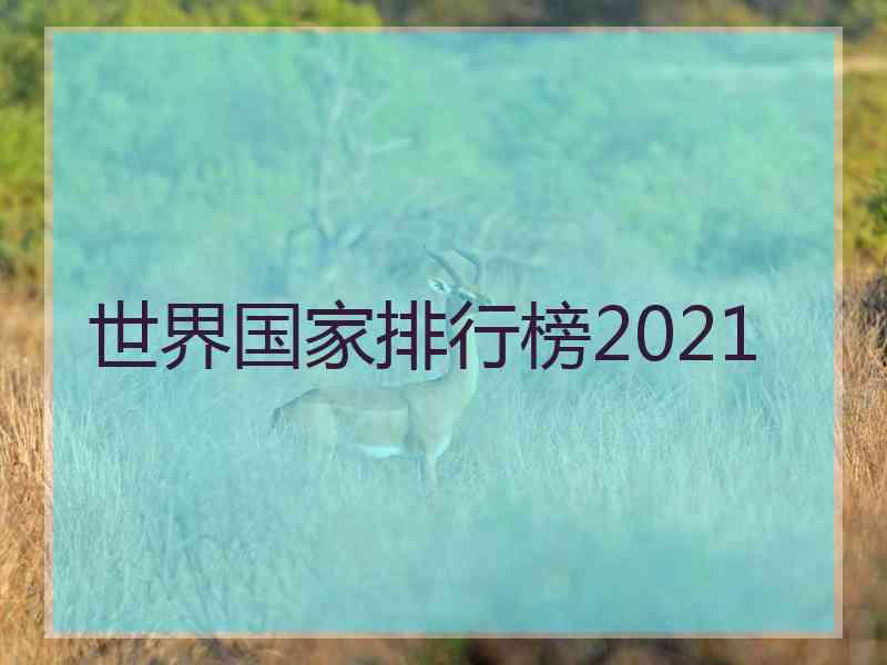 世界国家排行榜2021