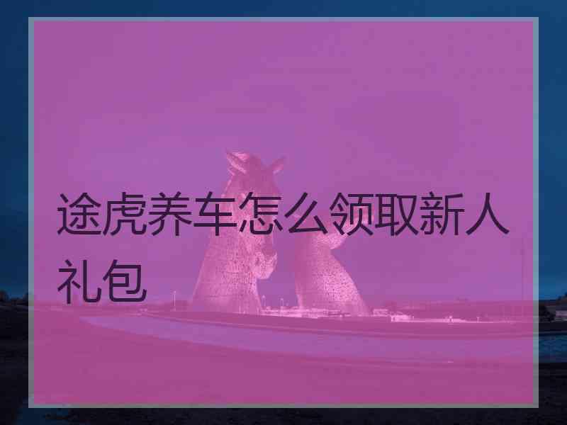 途虎养车怎么领取新人礼包