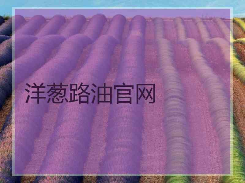 洋葱路油官网