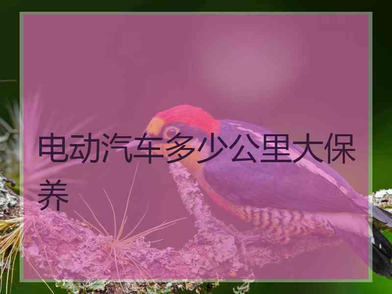 电动汽车多少公里大保养