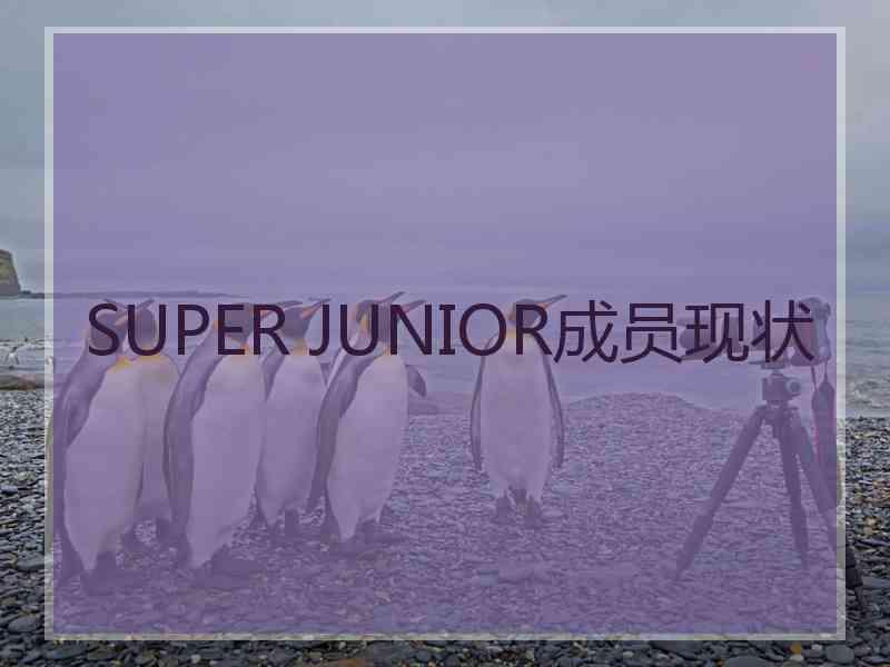 SUPER JUNIOR成员现状