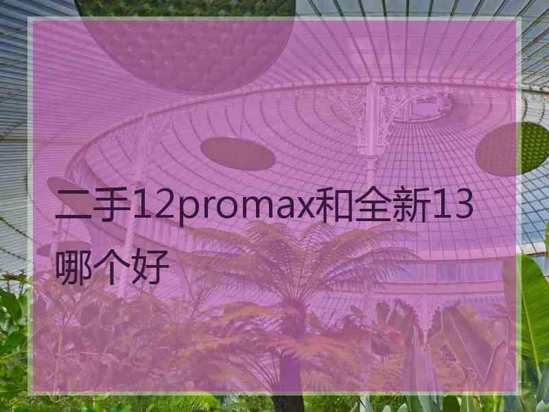 二手12promax和全新13哪个好