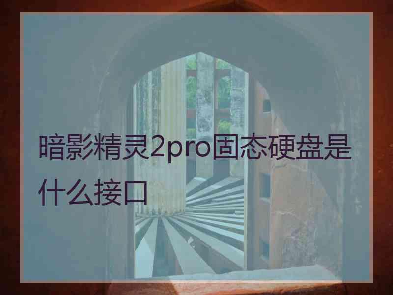 暗影精灵2pro固态硬盘是什么接口