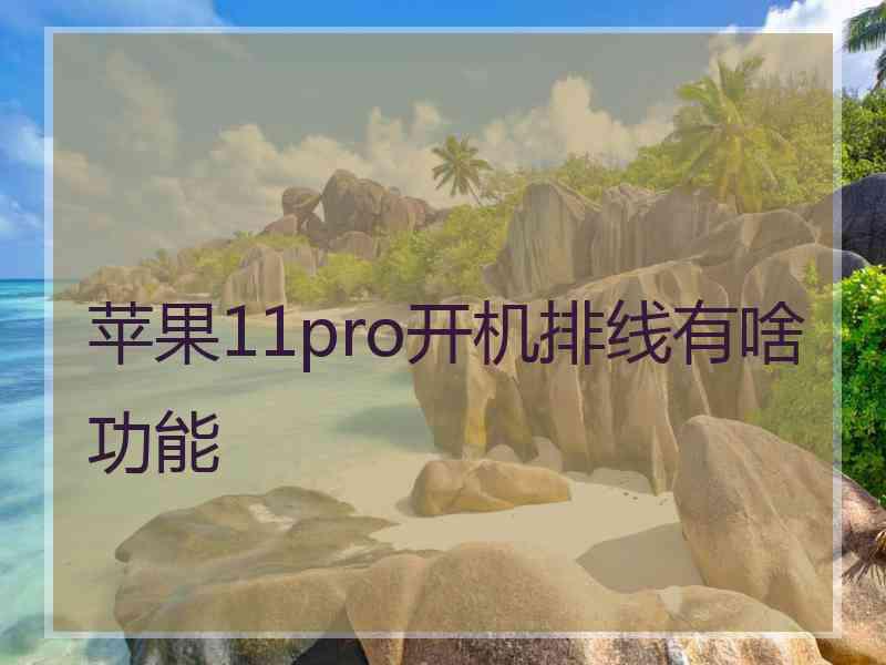 苹果11pro开机排线有啥功能