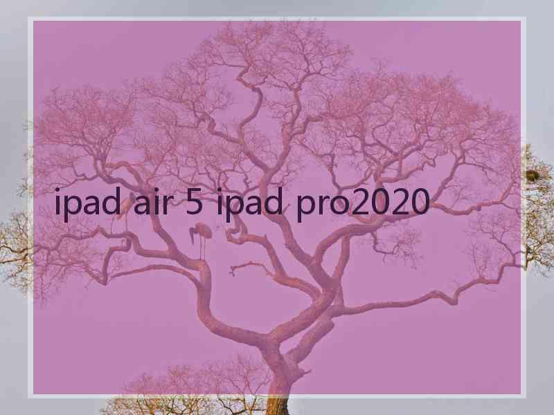 ipad air 5 ipad pro2020