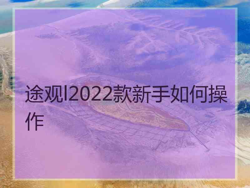 途观l2022款新手如何操作