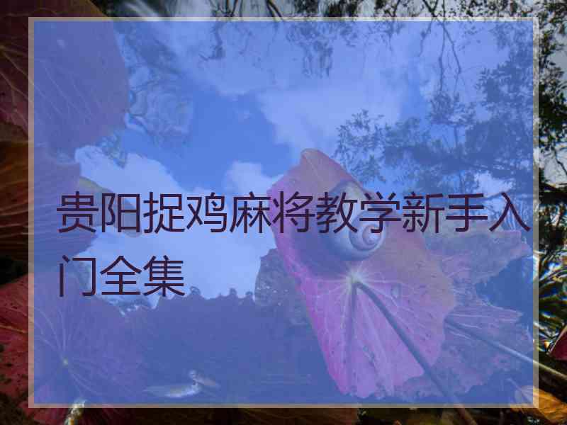 贵阳捉鸡麻将教学新手入门全集