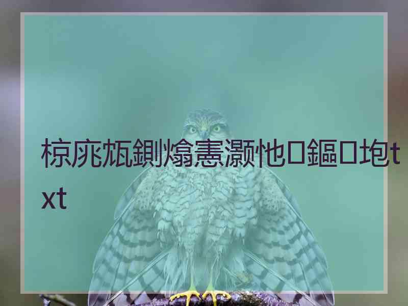 椋庣瓭鍘熻憲灏忚鏂垉txt