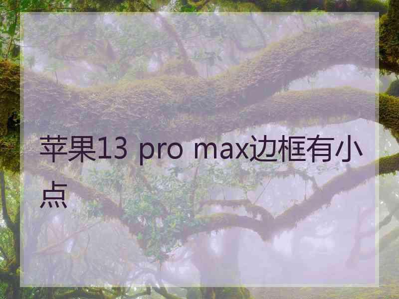 苹果13 pro max边框有小点