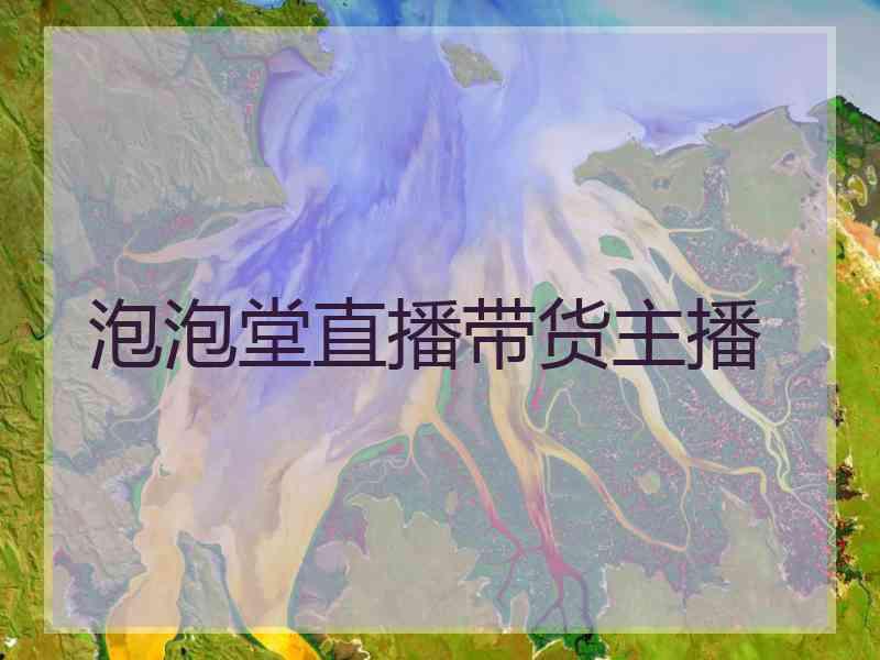 泡泡堂直播带货主播