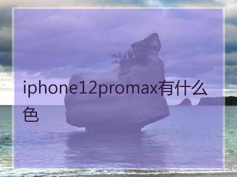 iphone12promax有什么色