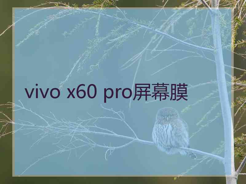 vivo x60 pro屏幕膜