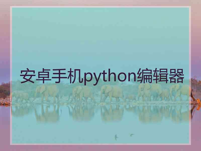 安卓手机python编辑器