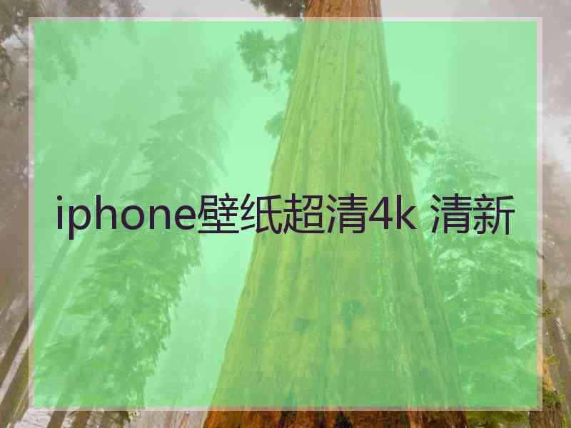 iphone壁纸超清4k 清新