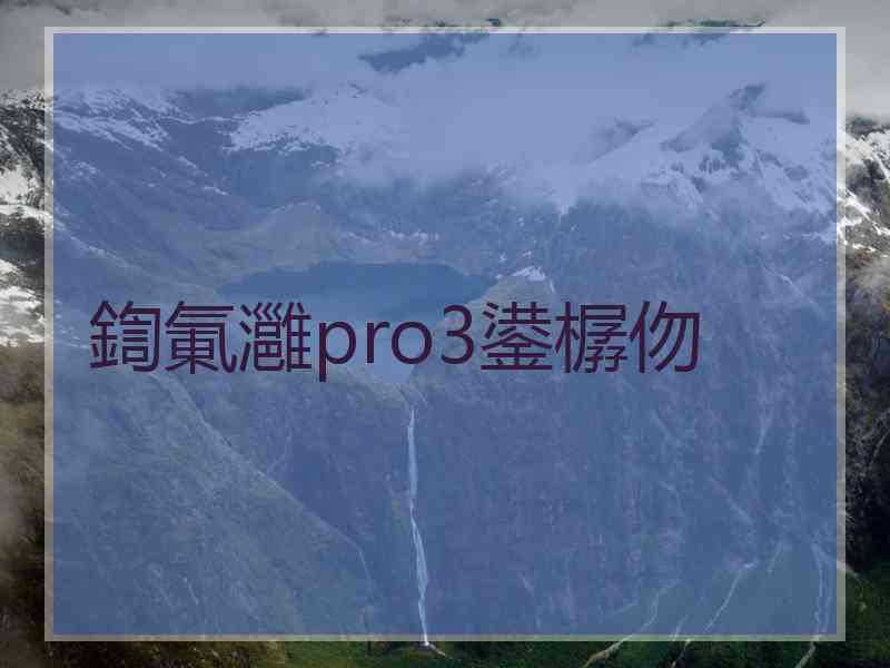 鍧氭灉pro3鍙樼伆