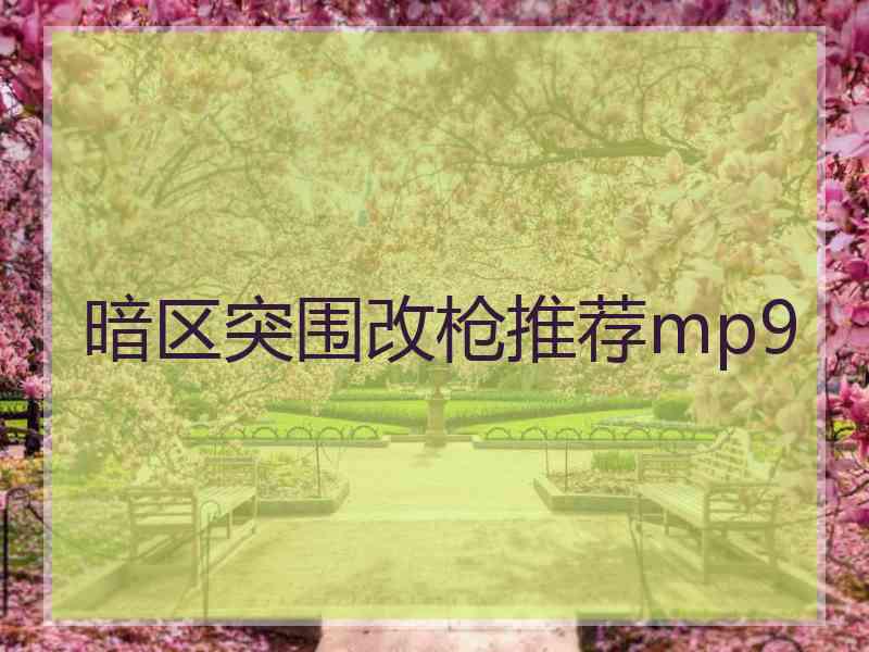 暗区突围改枪推荐mp9