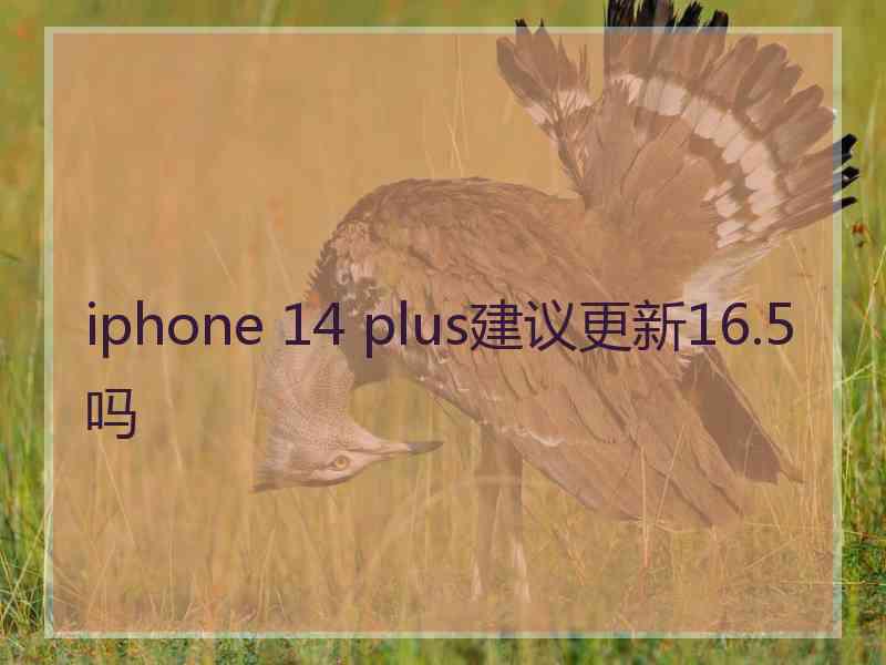 iphone 14 plus建议更新16.5吗