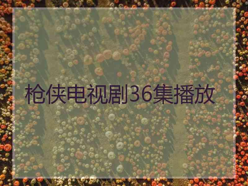 枪侠电视剧36集播放