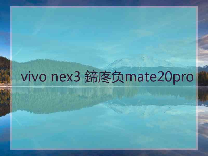 vivo nex3 鍗庝负mate20pro