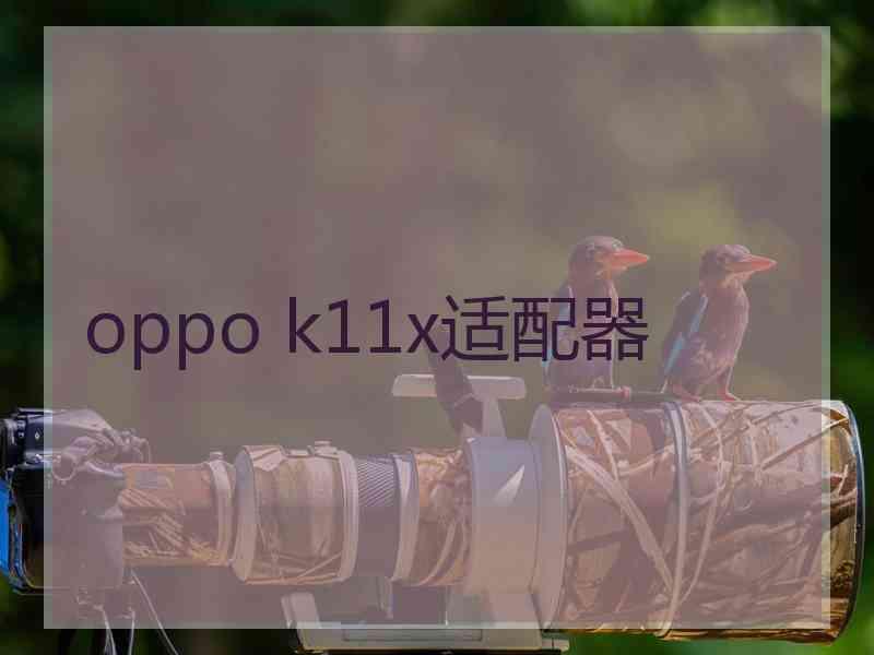 oppo k11x适配器