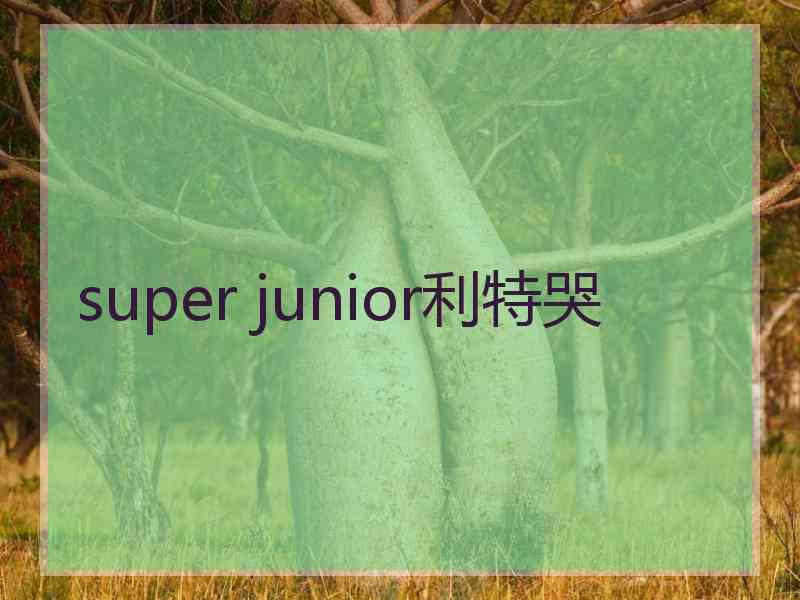 super junior利特哭