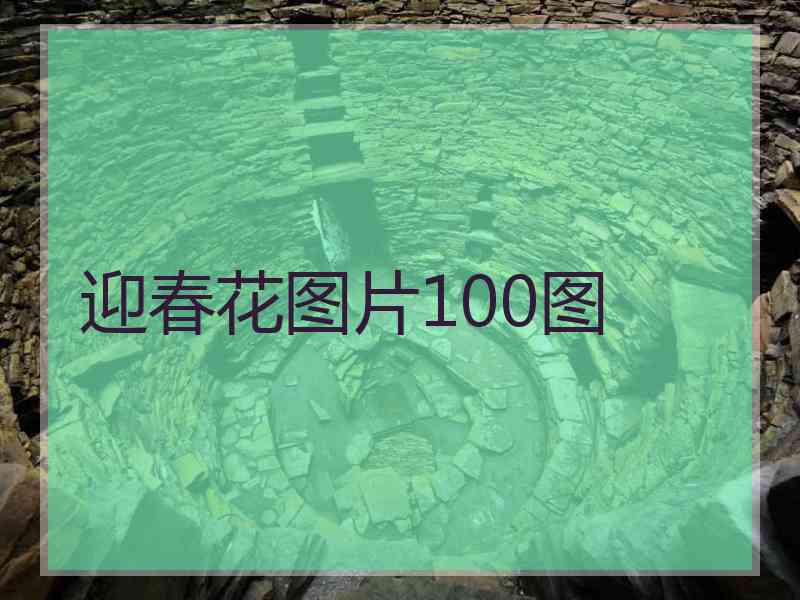 迎春花图片100图