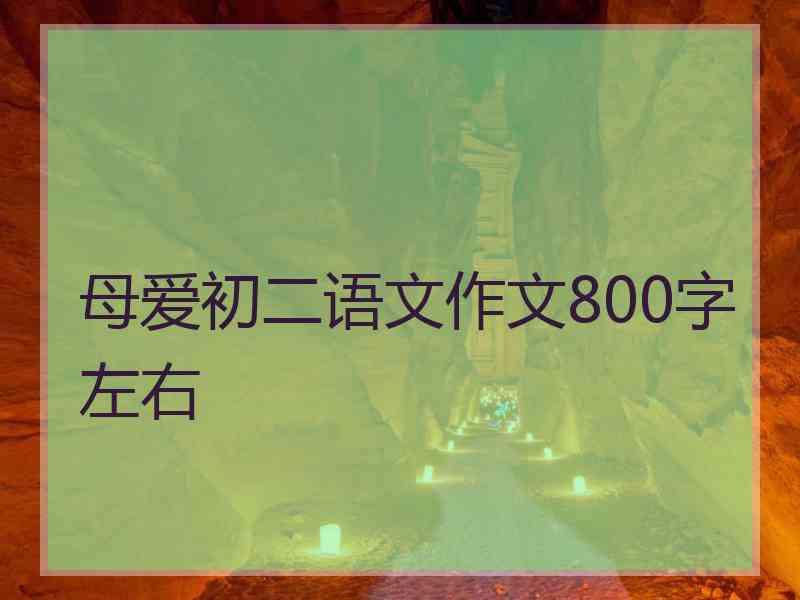 母爱初二语文作文800字左右