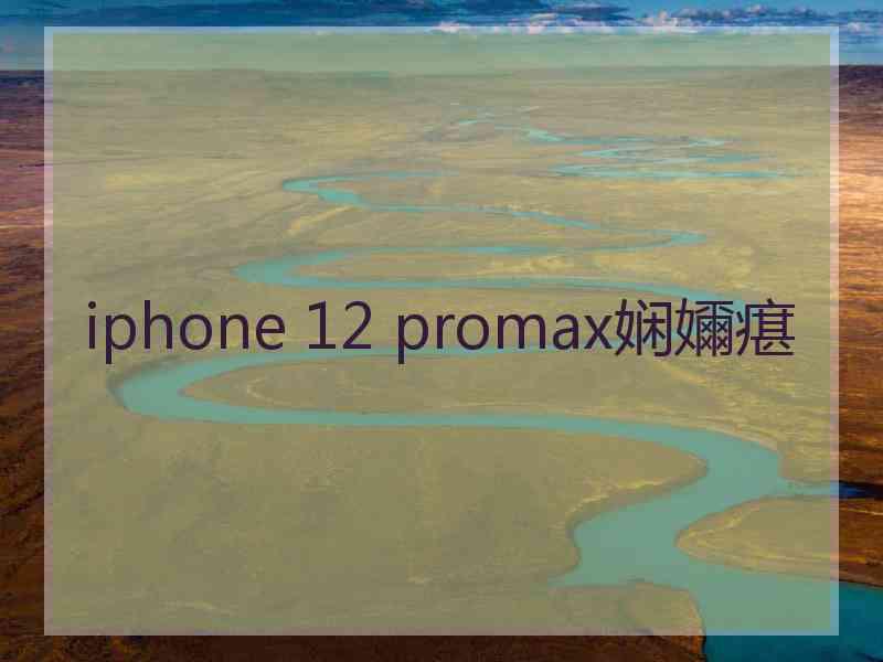 iphone 12 promax娴嬭瘎