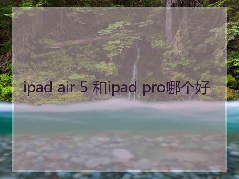 ipad air 5 和ipad pro哪个好