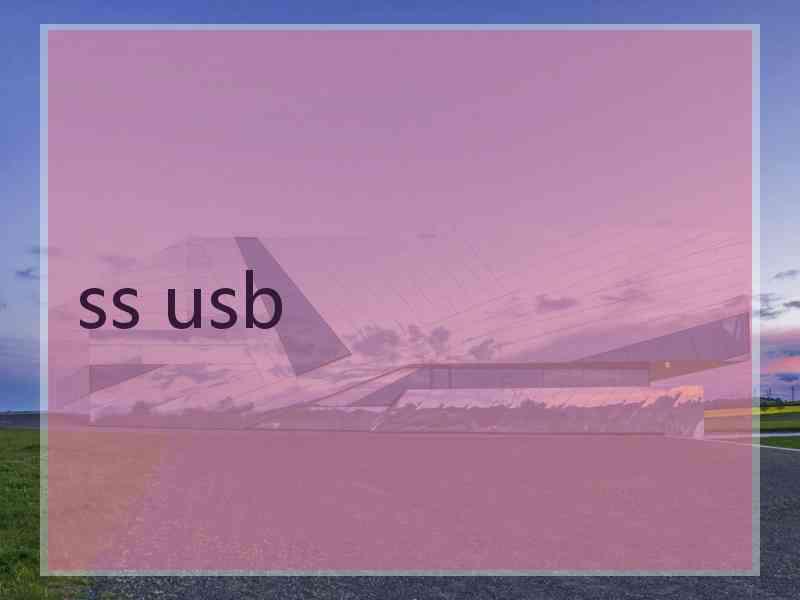 ss usb