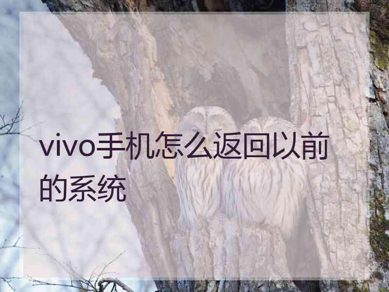 vivo手机怎么返回以前的系统