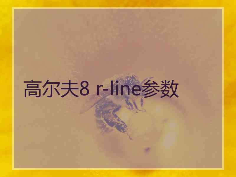 高尔夫8 r-line参数