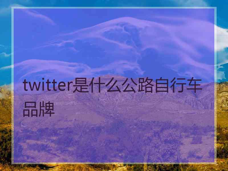 twitter是什么公路自行车品牌