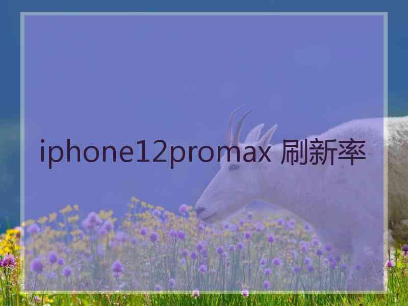 iphone12promax 刷新率