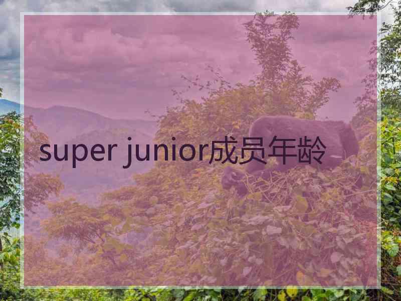 super junior成员年龄