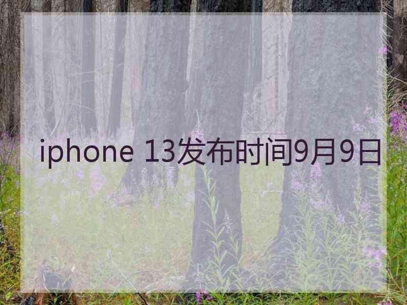 iphone 13发布时间9月9日