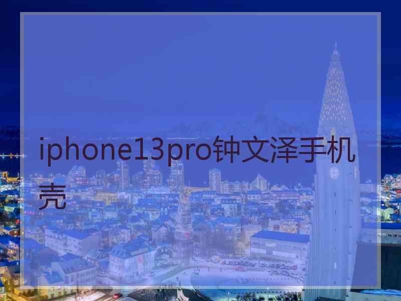 iphone13pro钟文泽手机壳