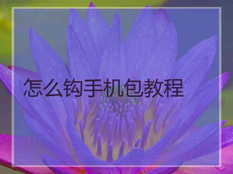 怎么钩手机包教程